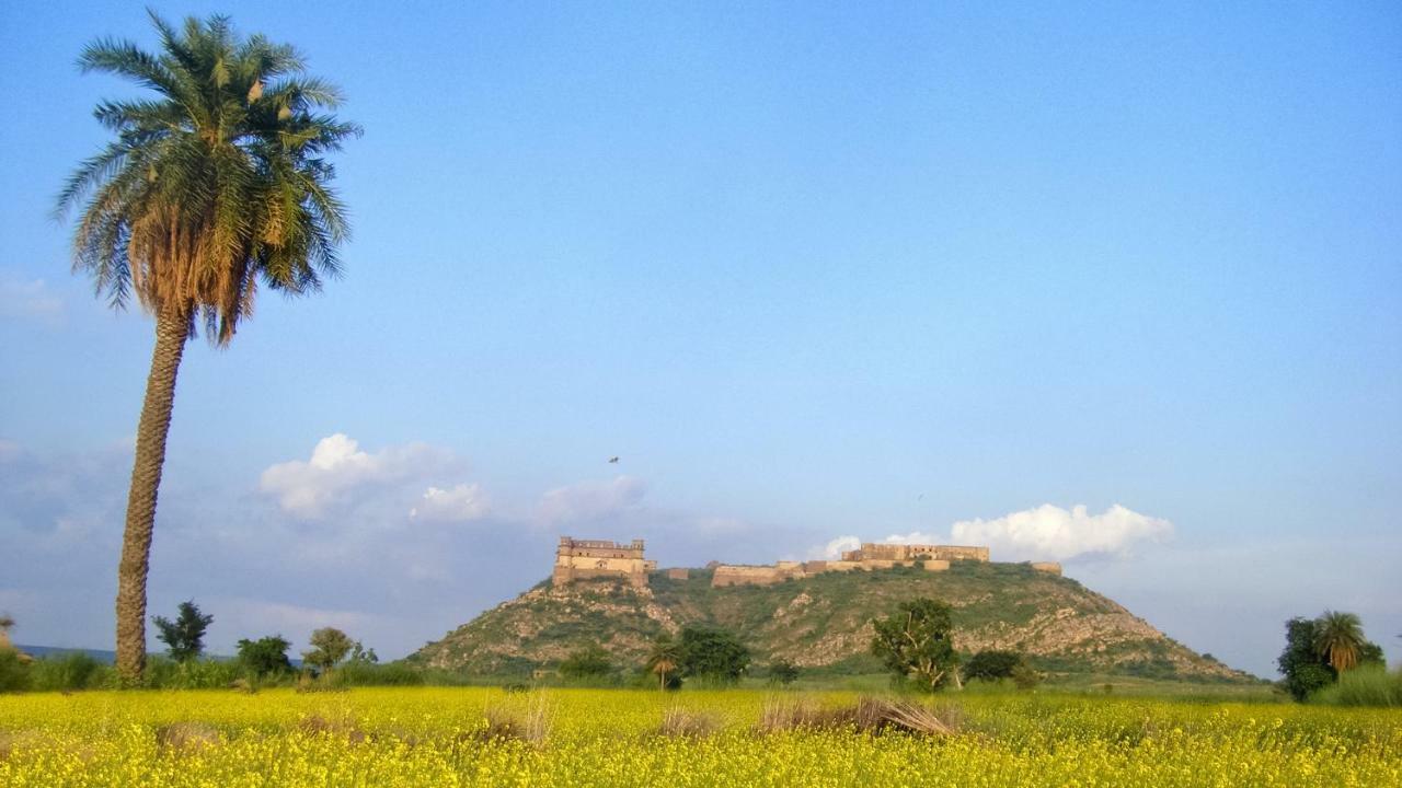 होटल Neemrana's - Palace 5*